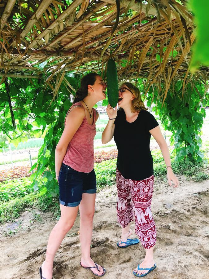Nature Homestay Hoi An Eksteriør billede